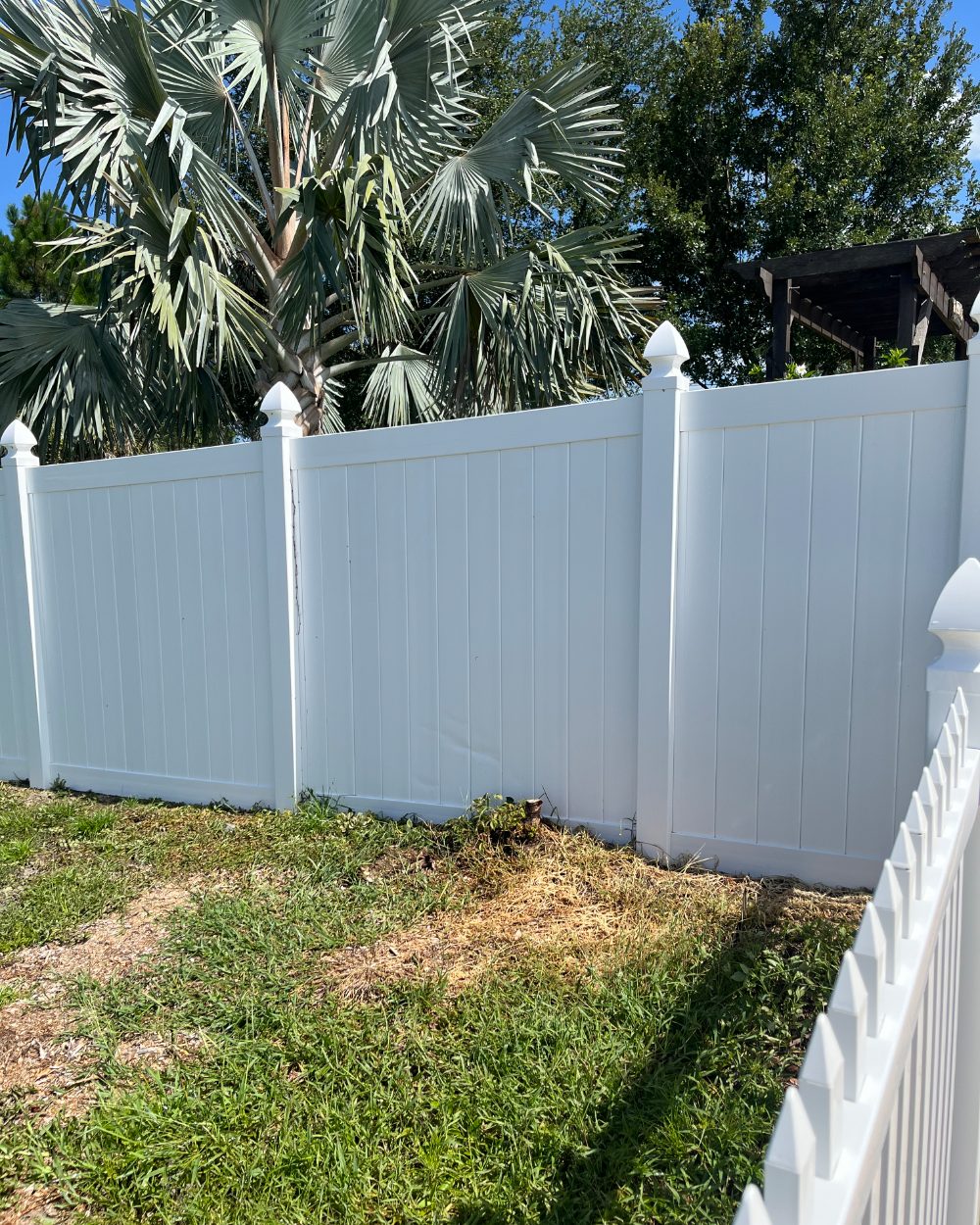 Brightened white vinyl fence after soft washing